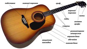 Как выбрать акустическую гитару