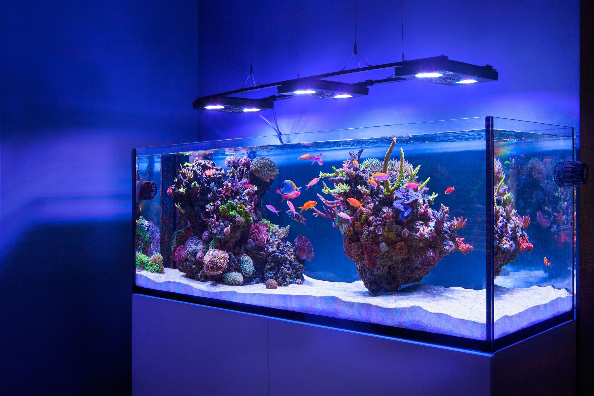 Аквариум какие виды. Аквариум (Fish Tank) 2009. Морской риф аквариум. Аквариум элос 160. Морской аквариум Reef.