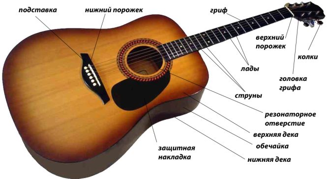 Как выбрать акустическую гитару