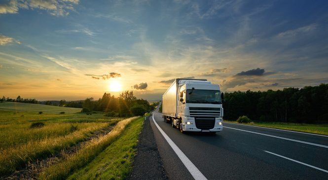 Изучение различных видов грузовых перевозок